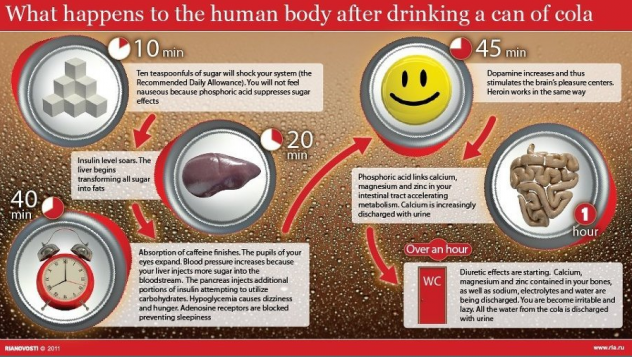 what-happens-when-you-drink-soda-info-graphic